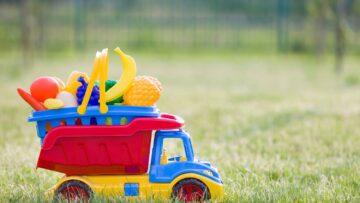 jucarii-de-exterior