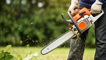 defrisare teren vegetatie